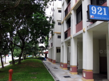Blk 921 Hougang Street 91 (Hougang), HDB 5 Rooms #238512